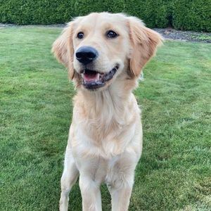 Meet your Posher, Jacob